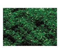 Faller - F170703 - Modélisme - Flocage - Vert Foncé