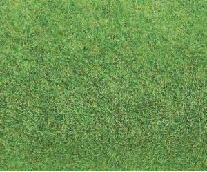 Faller - F180755 - Modélisme - Tapis - Vert Clair - Gazon