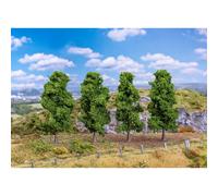 Faller H0 181577 - 4 Chênes À Quatre Colonnes 90 - 110 Mm Neuf