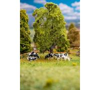 Faller H0 Vaches, tressée en Noir Peint, Debout, allongé
