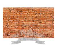 Faller Plaque murale H0 170607 Klinker maçonnerie briques 250 x 125 mm