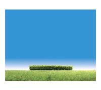 Modélisme Accessoires De Décor - Végétation : 3 Haies Vert Clair-Faller Vert