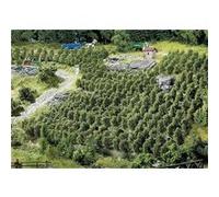 FALLER 181490 Vignoble Avec Structures De Soutien (Pz. 36 - Hauteur 30 Mm)