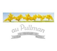Faller - Modélisme accessoires de décor - Végétation - Arbres : 6 forsythias à fleurs jaunes G