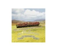 FALLER 181352 Série Premium : Trois Haies En Floraison Rouge (160 x 25 X 20 MM)