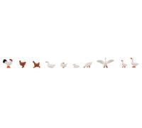 Faller - Poules. Canards et oies - FA151909