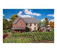 Faller- Weinkellerei Kit de modélisme, FA130611, Divers