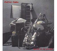 Fallin Oaks - World in My Pocket
