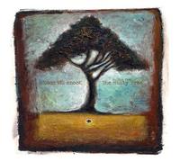 Zoon Van Snook - (Falling from) the..