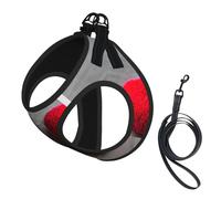Falling Harnais d'été pour chien avec laisse réglable et réfléchissant Motif cœur Rouge