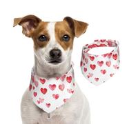 Falling Red Hearts Print Écharpe de Noël pour animal domestique Accessoire cadeau pour les fêtes spéciales occasions