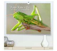 Falter, Käfer und Co.faszinierend, doch extrem gefährdet (hochwertiger Premium Wandkalender 2026 DIN A2 quer), Kunstdruck in Hochglanz: Faszinierend ... Umwelt, doch weltweit stark zurückgehend.