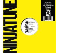 Faltydl - Danger (10")