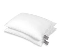 FAM Home Oreiller 40x60 Lot de 2 Anti Acarien I Coussin Rectangulaire Moelleux Microfibre Douces Hypoallergenique Entretien Facile