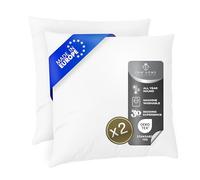 FAM Home Oreiller 80x80 Lot de 2 Anti Acarien I Coussin Rectangulaire Moelleux Microfibre Douces Hypoallergenique Entretien Facile