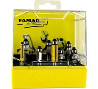 Famag Set combiné 8 pièces Arrondi 3109 - Fraises à affleurer 31