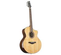 Fame Artist Pro - Guitare folk