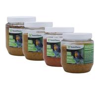 Famiflora Pack de démarrage du beurre d'arachide pour oiseaux - Naturel + vers de farine + Fruits des forêts + Pomme - Beurre de cacahuète pour oiseaux - Convient à tous les oiseaux de jardin pour