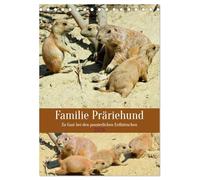 Familie Präriehund (Tischkalender 2026 DIN A5 hoch), CALVENDO Monatskalender: Zu Gast bei den possierlichen Erdhörnchen
