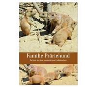 Familie Präriehund (Wandkalender 2026 DIN A2 hoch), CALVENDO Monatskalender: Zu Gast bei den possierlichen Erdhörnchen