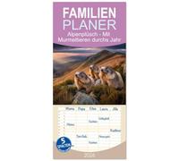 Familienplaner 2026 - Alpenplüsch - Mit Murmeltieren durchs Jahr mit 5 Spalten (Wandkalender, 21 x 45 cm) CALVENDO: Heiter bis pelzig - ein Jahr mit Murmeltieren!