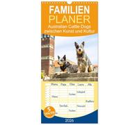 Familienplaner 2026 - Australian Cattle Dogs zwischen Kunst und Kultur mit 5 Spalten (Wandkalender, 21 x 45 cm) CALVENDO: Eine außergewöhnliche Hunderasse und Architektur treffen aufeinander