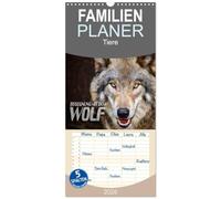 Familienplaner 2026 - Begegnung mit dem Wolf mit 5 Spalten (Wandkalender, 21 x 45 cm) CALVENDO: Faszinierende Aufnahmen von Wölfen aus verschiedenen Territorien