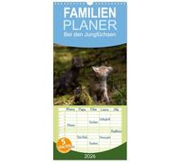 Familienplaner 2026 - Bei den Jungfüchsen mit 5 Spalten (Wandkalender, 21 x 45 cm) CALVENDO: Zwei Fuchsfamilien an einem Naturbau mit interessanten Begegnungen