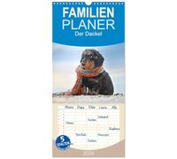 Familienplaner 2026 - Der Dackel mit 5 Spalten (Wandkalender, 21 x 45 cm) CALVENDO: Der Dackel - kleiner Hund, großes Herz, riesengroße Ausstrahlung und ein Blick, den nur der Dackel kann.