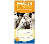 Familienplaner 2026 - Die Magie der Masse mit 5 Spalten (Wandkalender, 21 x 45 cm) CALVENDO: Die ultimative Teamarbeit!