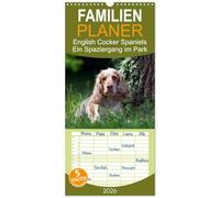 Familienplaner 2026 - English Cocker Spaniels - Ein Spaziergang im Park mit 5 Spalten (Wandkalender, 21 x 45 cm) CALVENDO: English Cocker Spaniel im Park auf der Mathildenhöhe