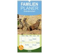 Familienplaner 2026 - Erdmännchen mit 5 Spalten (Wandkalender, 21 x 45 cm) CALVENDO: Eine putzige Erdmännchenfamilie