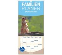 Familienplaner 2026 - Erdmännchen mit 5 Spalten (Wandkalender, 21 x 45 cm) CALVENDO: Erdmännchen - sie verzaubern jeden Tierfreund