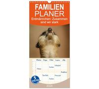 Familienplaner 2026 - Erdmännchen: Zusammen sind wir stark mit 5 Spalten (Wandkalender, 21 x 45 cm) CALVENDO: Bilder vom Erdmännchen-Alltag