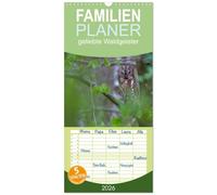 Familienplaner 2026 - geliebte Waldgeister mit 5 Spalten (Wandkalender, 21 x 45 cm) CALVENDO: Die Waldkauz-Ästlinge haben gerade erst ihre Bruthöhle ... lange bevor sie richtig fliegen können.