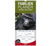 Familienplaner 2026 - Gorillas ohne Nebel mit 5 Spalten (Wandkalender, 21 x 45 cm) CALVENDO: Gorillabilder aus dem Bwindi-Nationalpark, Uganda