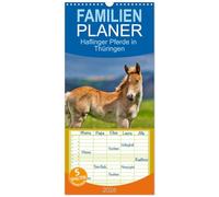 Familienplaner 2026 - Haflinger Pferde in Thüringen mit 5 Spalten (Wandkalender, 21 x 45 cm) CALVENDO: Die schönsten Pferde in grandioser Thüringer Natur
