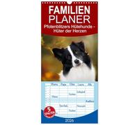 Familienplaner 2026 - Hütehunde - Hüter der Herzen mit 5 Spalten (Wandkalender, 21 x 45 cm) CALVENDO: Ein Jahr mit wunderschönen Hütehunde-Rassen