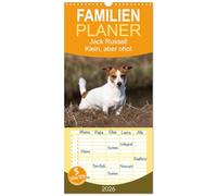 Familienplaner 2026 - Jack Russell - Klein, aber oho! mit 5 Spalten (Wandkalender, 21 x 45 cm) CALVENDO: Echte Powerpakete und zugleich liebenswertes Familienmitglied - Jack Russell haben's drauf!