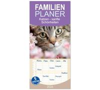 Familienplaner 2026 - Katzen - sanfte Schönheiten mit 5 Spalten (Wandkalender, 21 x 45 cm) CALVENDO: Lassen Sie sich jeden Monat aufs Neue durch die wunderbare Welt der Katzen verzaubern.