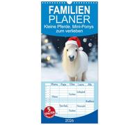 Familienplaner 2026 - Kleine Pferde. Mini-Ponys zum verlieben mit 5 Spalten (Wandkalender, 21 x 45 cm) CALVENDO: Zauberhafte Wintzlinge erobern die Herzen!