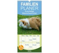 Familienplaner 2026 - Kuschelige Meerschweinchen mit 5 Spalten (Wandkalender, 21 x 45 cm) CALVENDO: Die kunterbunte Welt der Meerschweinchen