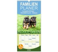 Familienplaner 2026 - Langstockhaar - Schäferhund - Babys mit 5 Spalten (Wandkalender, 21 x 45 cm) CALVENDO: Ein Besuch bei wunderschöne Welpen der langhaarigen Variante des Deutschen Schäferhundes.