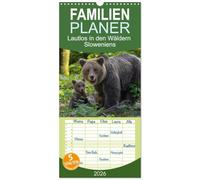 Familienplaner 2026 - Lautlos in den Wäldern Sloweniens mit 5 Spalten (Wandkalender, 21 x 45 cm) CALVENDO: Braunbären im Grenzgebiet Slowenien - Kroatien