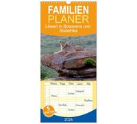 Familienplaner 2026 - Löwen in Botswana und Südafrika mit 5 Spalten (Wandkalender, 21 x 45 cm) CALVENDO: In der Savanne - Auge in Auge mit Afrikas wilden Löwen