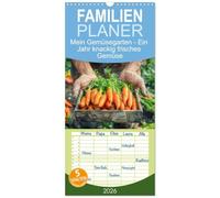 Familienplaner 2026 - Mein Gemüsegarten - Ein Jahr knackig frisches Gemüse mit 5 Spalten (Wandkalender, 21 x 45 cm) CALVENDO: Gärtner und Ernte, eine bunte Gemüsevielfalt in Bildern