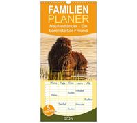Familienplaner 2026 - Neufundländer - Ein bärenstarker Freund mit 5 Spalten (Wandkalender, 21 x 45 cm) CALVENDO: Der braune Neufundländer in 13 hinreißenden Bildern vorgestellt