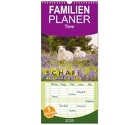 Familienplaner 2026 - Schafe - Weich und wollig mit 5 Spalten (Wandkalender, 21 x 45 cm) CALVENDO: Schafe unterwegs in schönen Landschaften aus Wales, Norwegen und Irland.