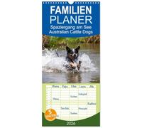 Familienplaner 2026 - Spaziergang am See Australian Cattle Dogs mit 5 Spalten (Wandkalender, 21 x 45 cm) CALVENDO: Badespaß am See mit sportlichen Australian Cattle Dogs
