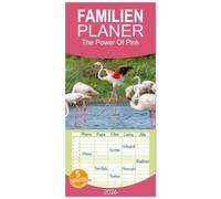 Familienplaner 2026 - The Power Of Pink mit 5 Spalten (Wandkalender, 21 x 45 cm) CALVENDO: Die Flamingos der Camargue